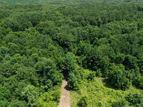 tbd Sid Craver Rd, Harleton, TX 75651 photo 5