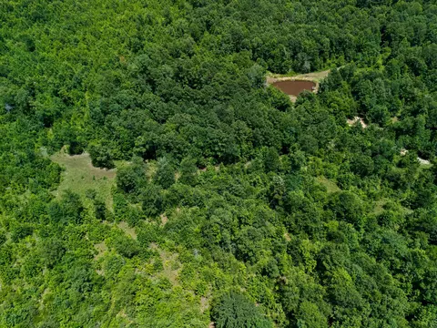 tbd Sid Craver Rd, Harleton, TX 75651 photo 11