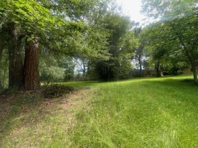 tbd Matilda Dr, Troup, TX 75789