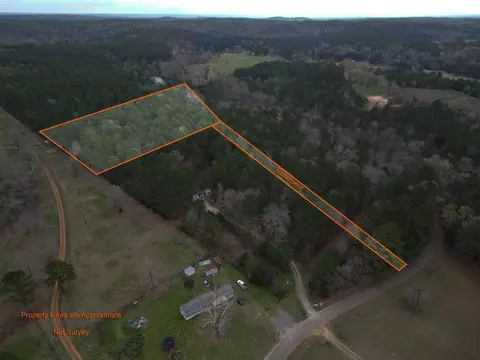 tbd Begonia Rd, Ore City, TX 75683