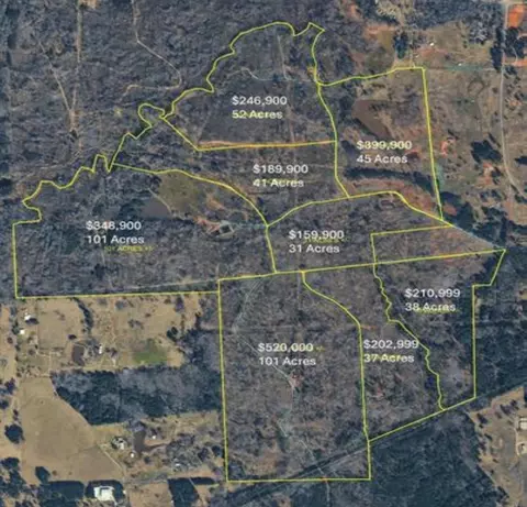 41 Acres Off Watson Rd, Kilgore, TX 75662