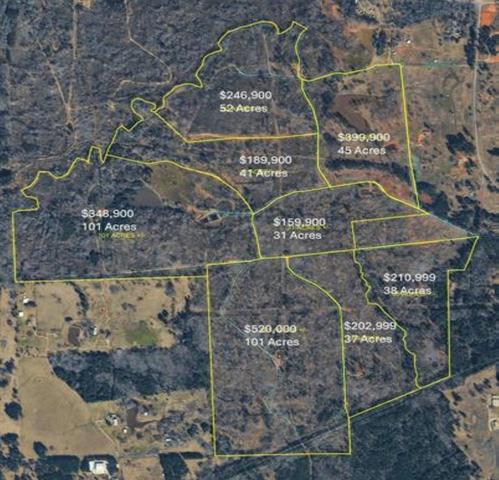 101 Acres Off Watson Rd, Kilgore, TX 75662
