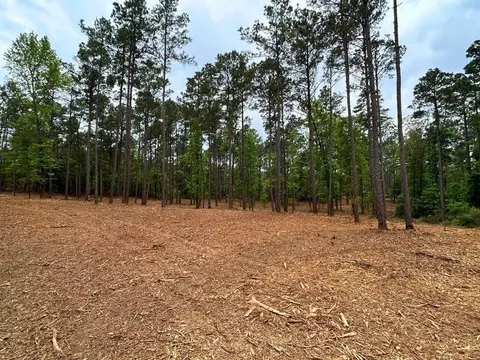 0 Harkins Ln, Marshall, TX 75672
