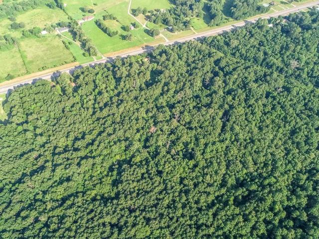 tbd Hwy 259 Sego Lily Rd, New Diana, TX 75640
