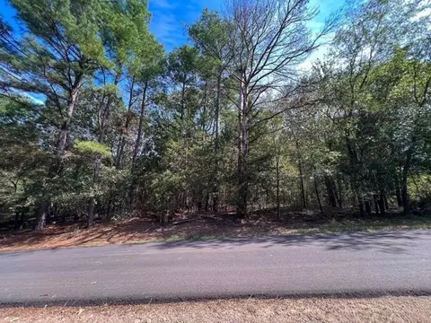 lot49 Angelina Dr, Mount Vernon, TX 75457