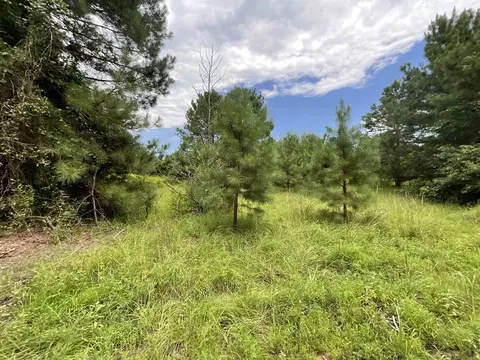 239 Holly Ln, Jefferson, TX 75657