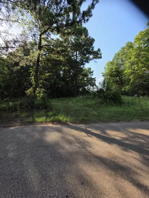 3259 S Cr 246, Tyler, TX 75705