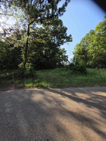 3259 S Cr 246, Tyler, TX 75705