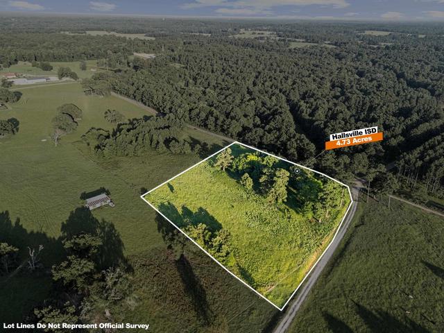 6365 Peter Bonner Rd, Hallsville, TX 75650
