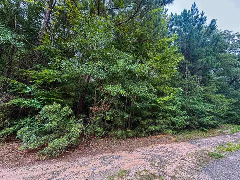 tbd Sequoia Dr, Harleton, TX 75651 photo 3