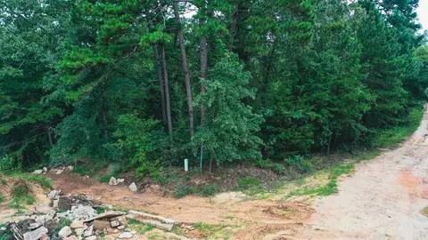 tbd Hickory Dr, Harleton, TX 75651 photo 2