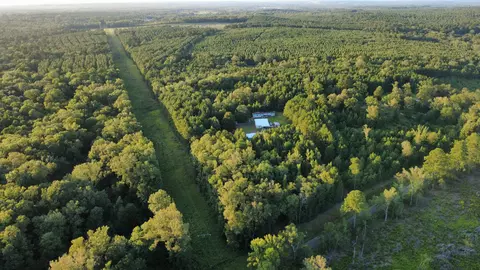 tbd Driskell Bridge Rd, Harleton, TX 75651 photo 2