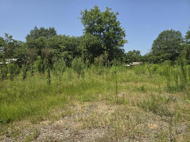 307 Washington, Linden, TX 75563
