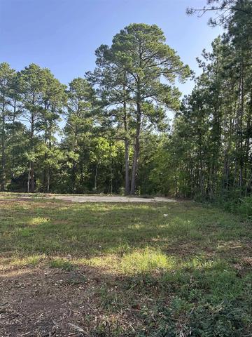 4005 Forest Hlls, Kilgore, TX 75662