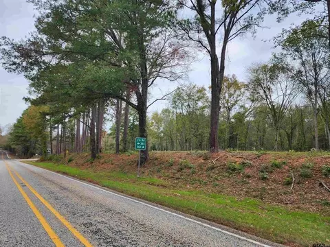 lot1 Tbd Ne Cr 363, Winona, TX 75792