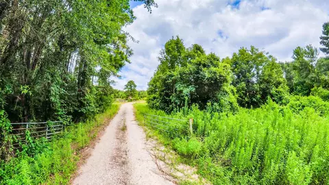 tbd County Road 307, De Berry, TX 75639