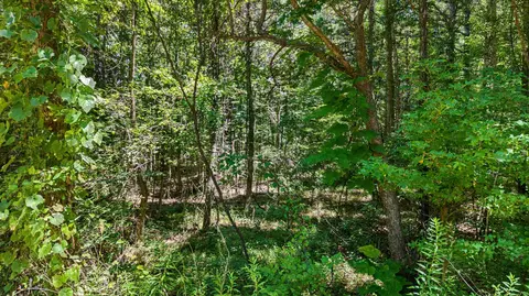 tbd Bluebird, Gilmer, TX 75645 photo 6