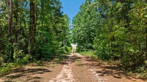 tbd Bluebird, Gilmer, TX 75645 photo 5