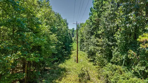 tbd Bluebird, Gilmer, TX 75645 photo 4