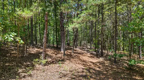 tbd Bluebird, Gilmer, TX 75645 photo 3