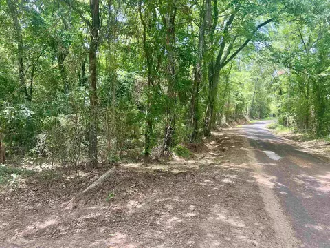 tbd County Road 435 D, Laneville, TX 75667