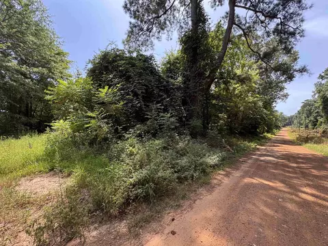 551 Pleasure Point Rd, Lone Star, TX 75668
