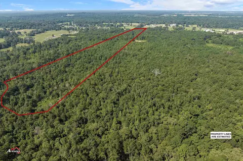 tbd Cole Rd, Marshall, TX 75672 photo 6