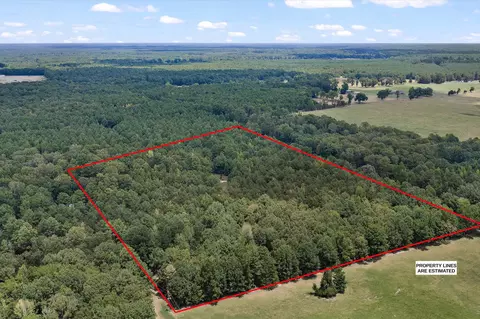 tbd County Road 3311, De Berry, TX 75639