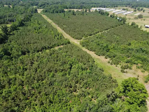 2 Tbd County Road 295, Garrison, TX 75946