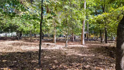 tbd Magnolia Ln, Holly Lake Ranch, TX 75765