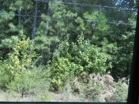 tbd Sweet Gum Rd, Gladewater, TX 75647