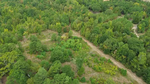 tbd George Richie Rd, Longview, TX 75605 photo 4