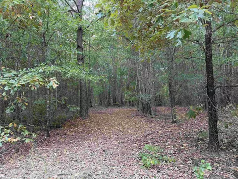 tbd George Richie Rd, Longview, TX 75605 photo 22