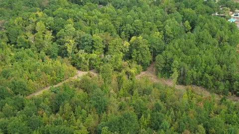 tbd George Richie Rd, Longview, TX 75605 photo 13