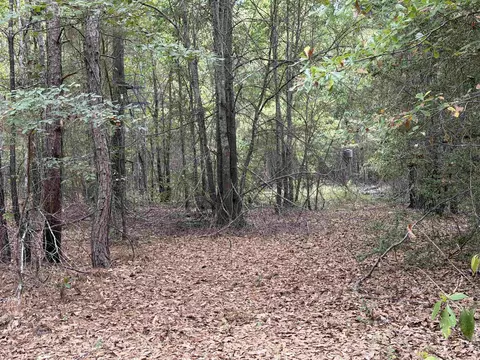 tbd George Richie Rd, Longview, TX 75605 photo 31