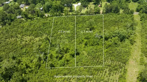 tbd Sparrow Rd, Diana, TX 75640
