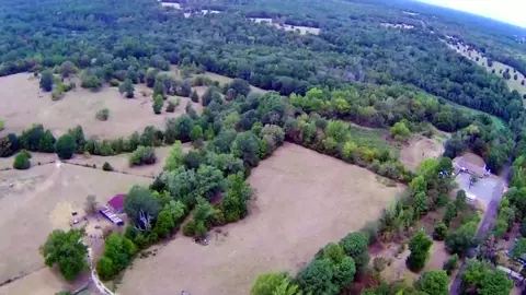 tbd Cat Rd, Gilmer, TX 75644 photo 5
