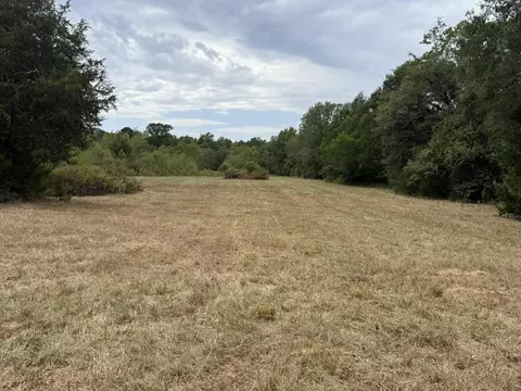 tbd Cat Rd, Gilmer, TX 75644 photo 9