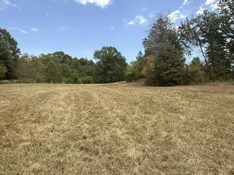 tbd Cat Rd, Gilmer, TX 75644 photo 6