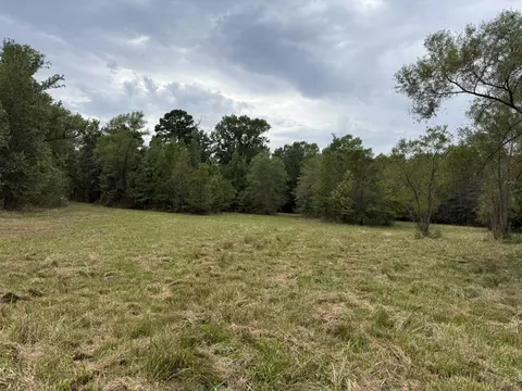 tbd Cat Rd, Gilmer, TX 75644 photo 18