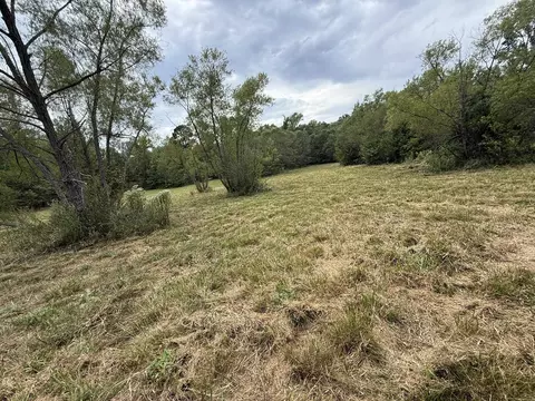 tbd Cat Rd, Gilmer, TX 75644 photo 15