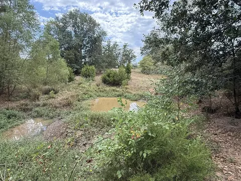 tbd Cat Rd, Gilmer, TX 75644 photo 10