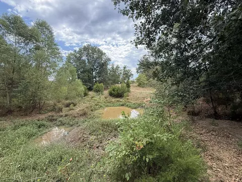 tbd Cat Rd, Gilmer, TX 75644 photo 11
