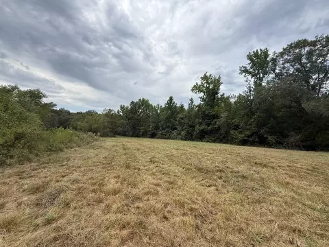 tbd Cat Rd, Gilmer, TX 75644 photo 12