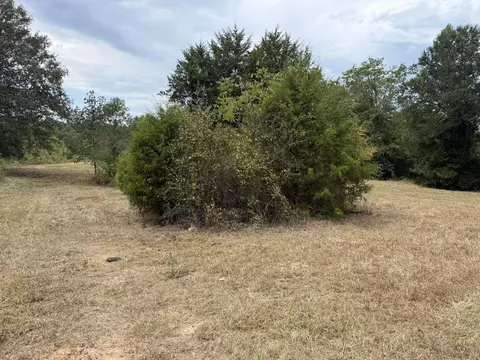 tbd Cat Rd, Gilmer, TX 75644 photo 8