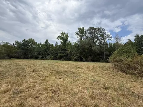 tbd Cat Rd, Gilmer, TX 75644 photo 13