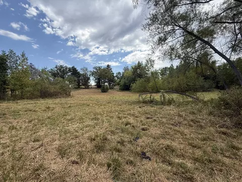 tbd Cat Rd, Gilmer, TX 75644 photo 17