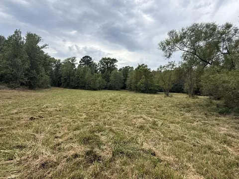 tbd Cat Rd, Gilmer, TX 75644 photo 19