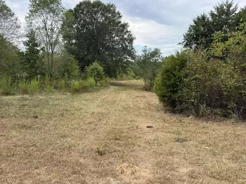 tbd Cat Rd, Gilmer, TX 75644 photo 7