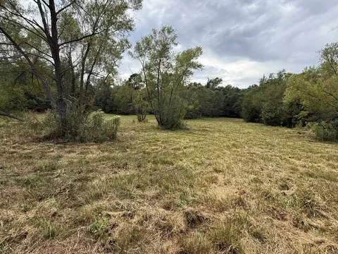 tbd Cat Rd, Gilmer, TX 75644 photo 14